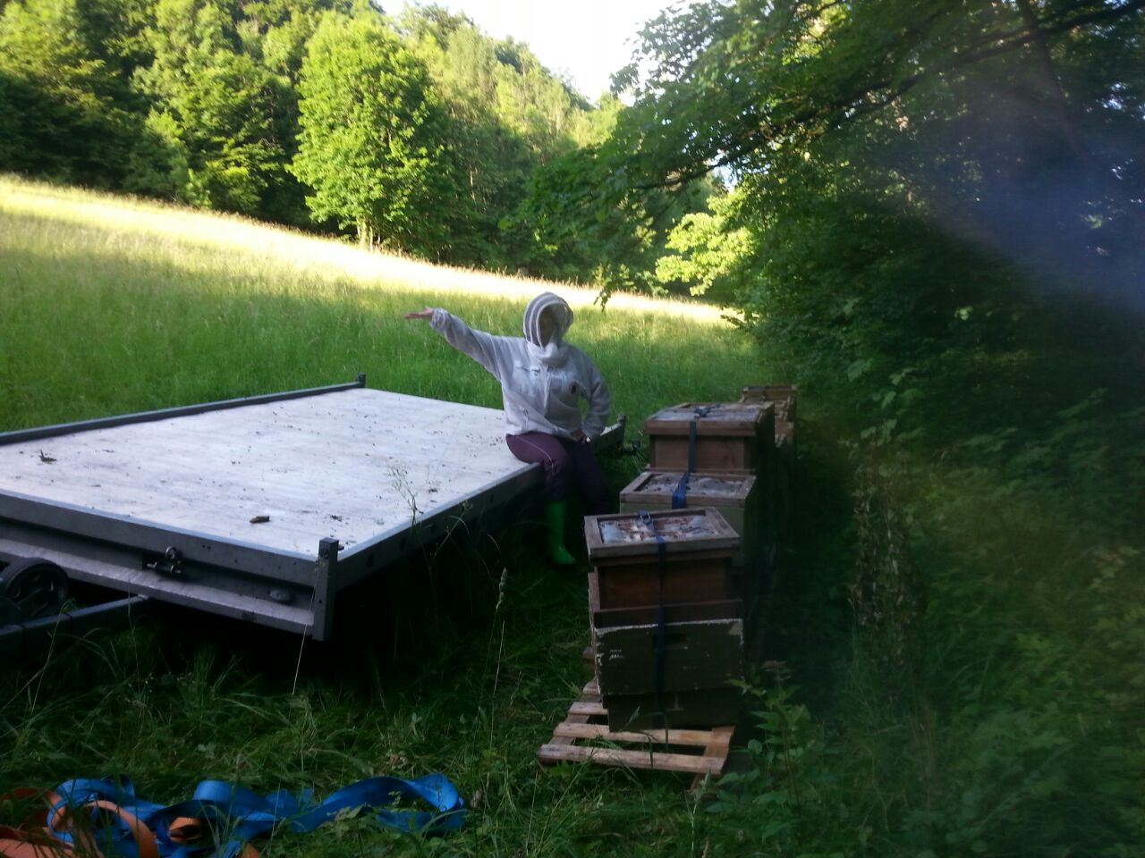 Bild 118